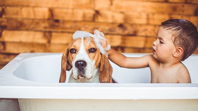 Child and his dog taking a bath
