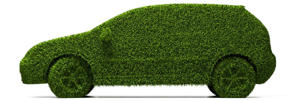 Car shaped bush